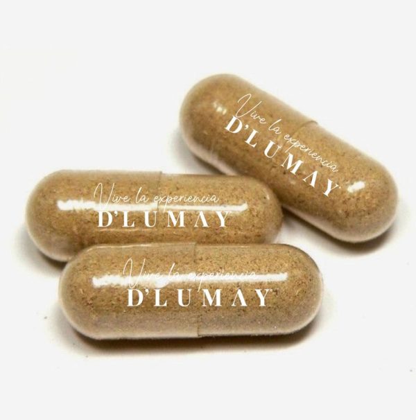 305028902_853047705594261_3634180847991463244_n DFAST PLUS